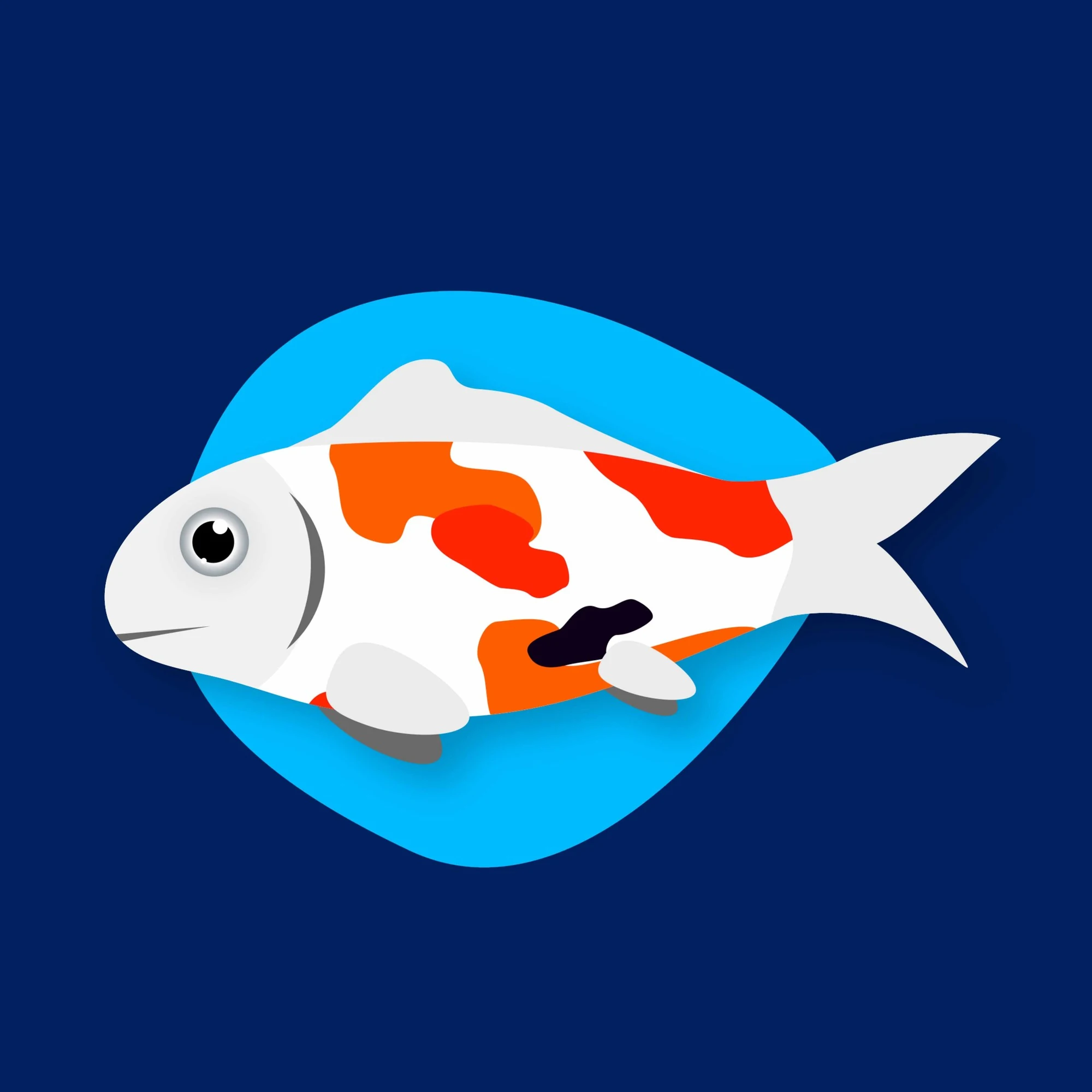 Flat illustration of an orange and white koi fish on a deep blue background